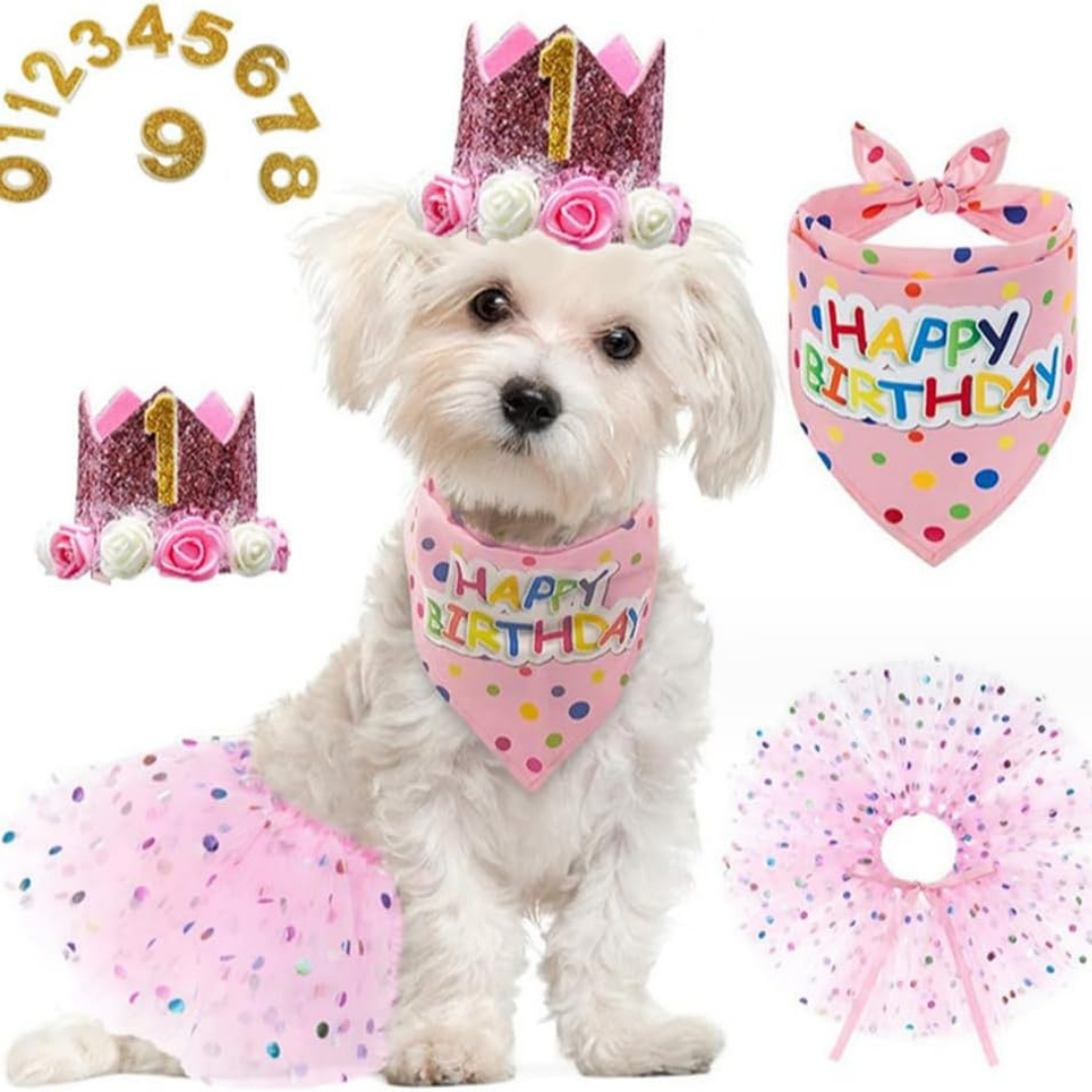 KIT DE CUMPLEAÑOS HEMBRA