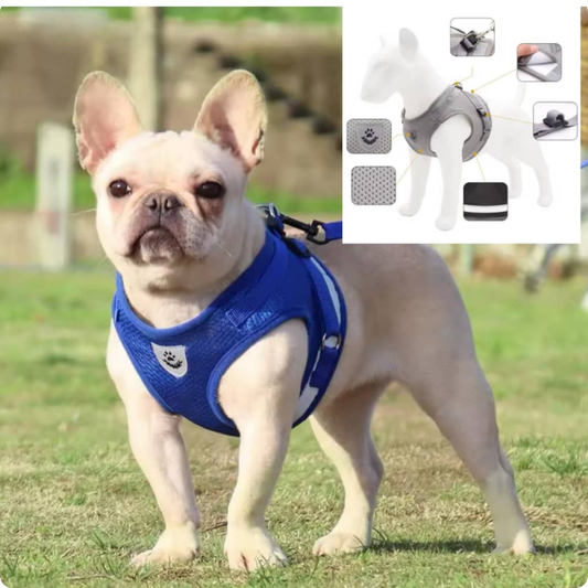 ARNÉS DE MALLA TRANSPIRABLE