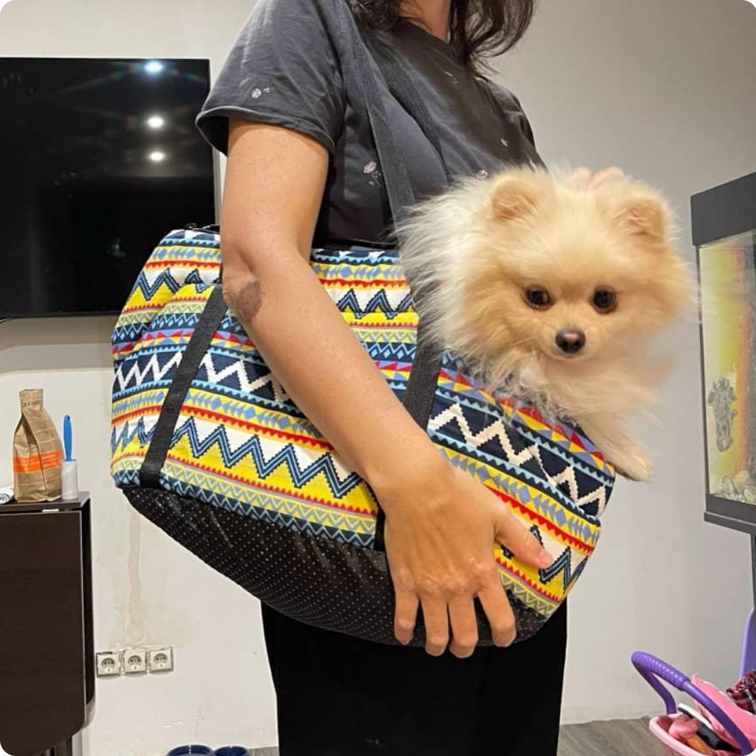 BOLSO TIPO CARTERA PARA MASCOTA TALLA L