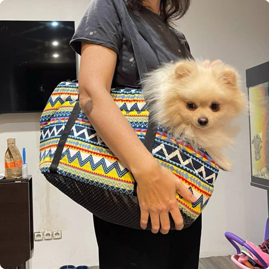 BOLSO TIPO CARTERA PARA MASCOTA TALLA L