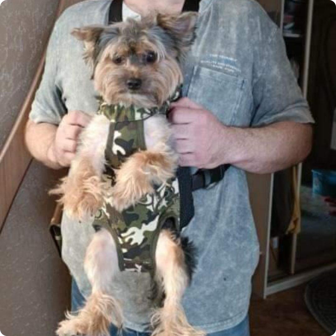 CANGURO ESTAMPADO MILITAR TALLA M