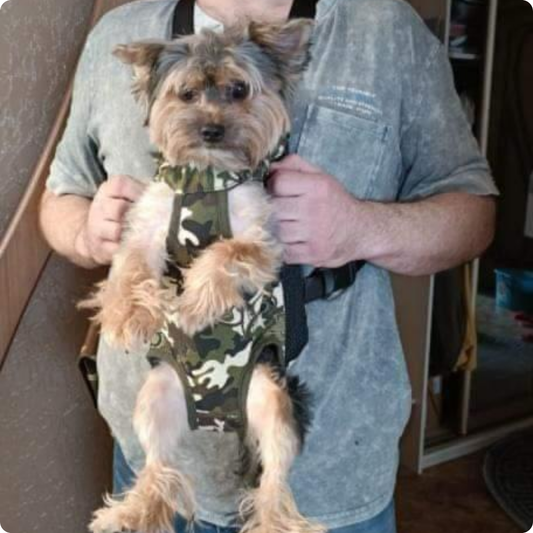 CANGURO ESTAMPADO MILITAR TALLA M