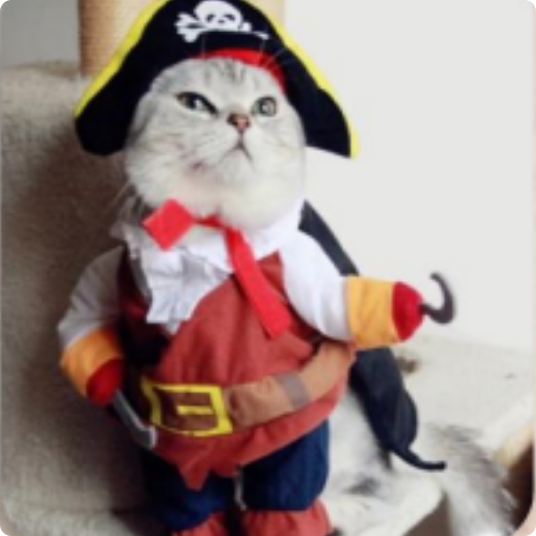 DISFRAZ DE MASCOTA DE PIRATA TALLA S