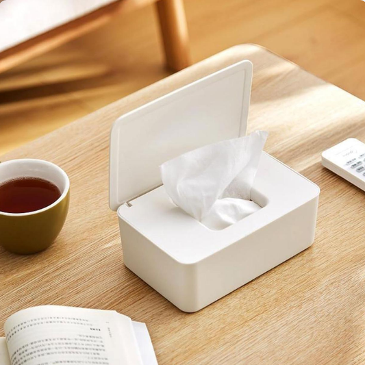 ENVASE PARA TOALLITAS HUMEDAS O SERVILLETAS CON TAPA - AMAZON