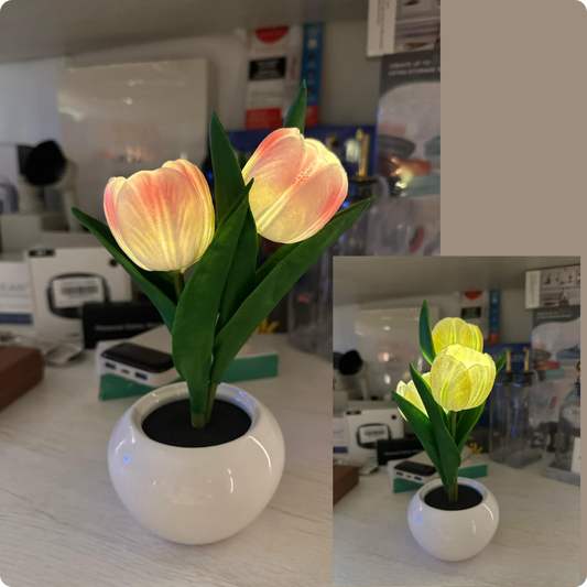 MATERO BLANCO CON TULIPANES CON LUCES