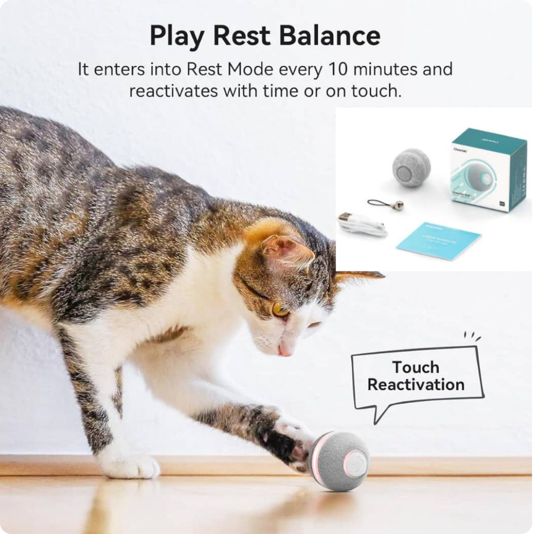 PELOTAS INTERACTIVAS ELECTRICAS PARA GATOS