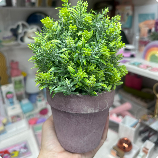 PLANTA MINIMALISTA CON PLANTA VERDE