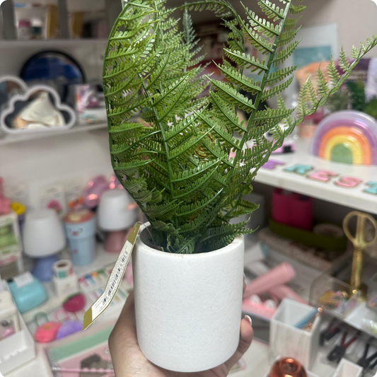PLANTA MINIMALISTA VARIADAS