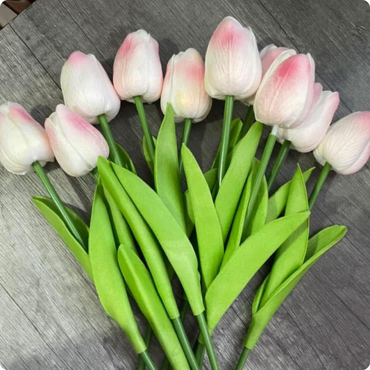 SET DE 10 FLORES TULIPANES BLANCOS CON ROSADOS