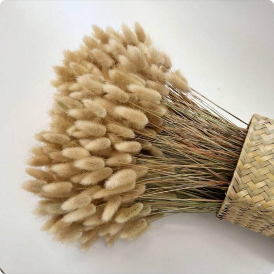 COLITA DE CONEJO PARA DECORAR BLANCO Y BEIGE