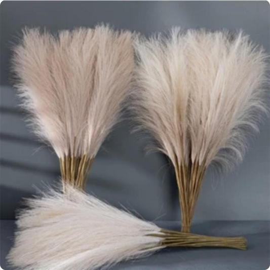 SET DE PAMPA PARA DECORAR ESPIGA BEIGE Y MARRÓN