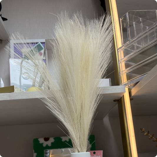 SET DE PAMPA PARA DECORAR ESPIGA BLANCA FINITA