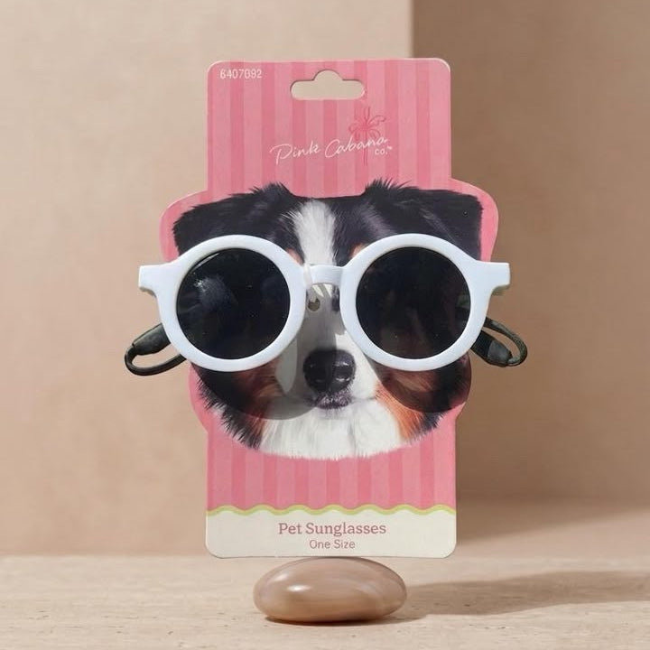 LENTES PARA PERROS